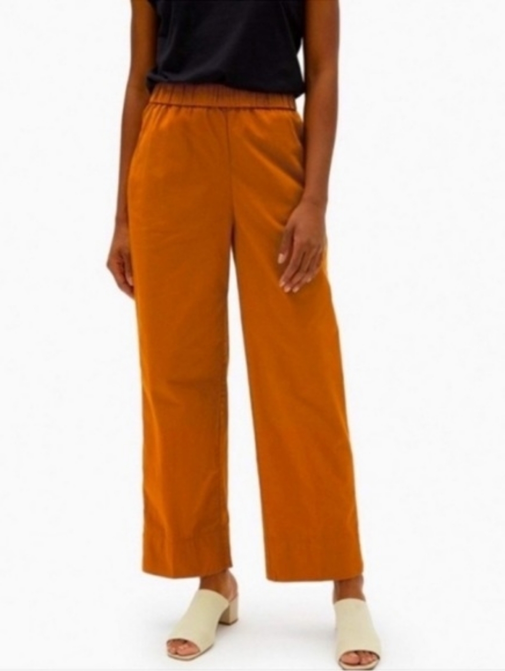 Everlane Rust Orange Cotton Stretch Pull-On Elastic Waist Casual Pants Size 14